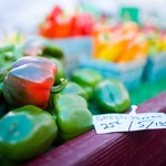 246049665_4c9caab601 246049665_4c9caab601