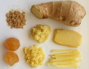 04022010_01_ginger