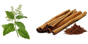 1197263842_ff5d8855_cinnamon