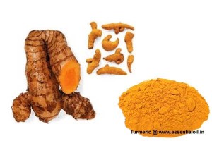 curcumin_removed_turmeric_oleoresin