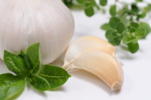 garlic