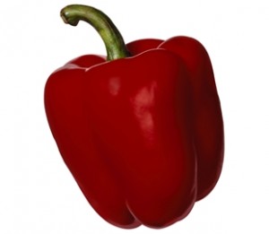 redbell pepper capsicum