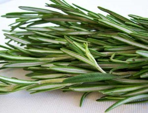 rosemary